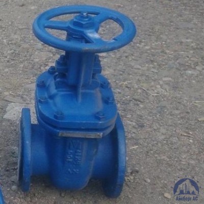 Клапан Ду 100 мм 13ТН2П купить в Караганде