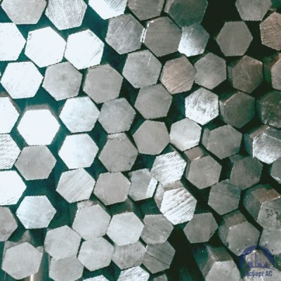Шестигранник титановый 30 мм ВТ1-0 купить в Караганде