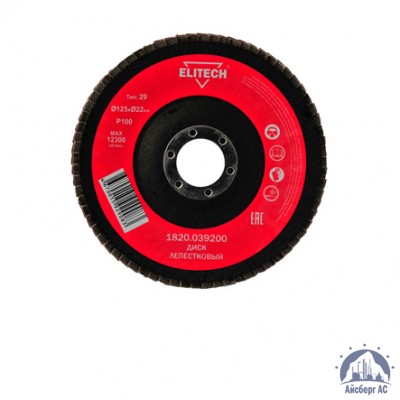 Круг лепестковый КЛТ 125х22 мм, P100, Elitech, 1820,039200 купить в Караганде
