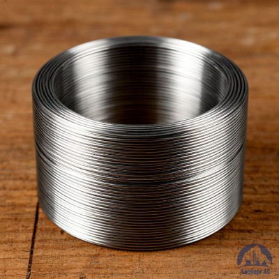 Проволока 5.1-С -ГОСТ 18834-83 купить в Караганде