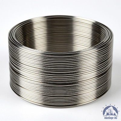 Проволока иридиевая 0,06 мм И 99,9 ГОСТ 19351-2006 купить в Караганде