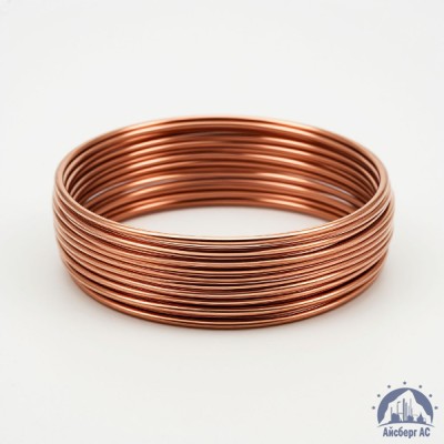 Проволока бронзовая 0.25 мм БрБ2 ГОСТ 15834-77 купить в Караганде