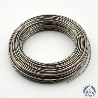 Проволока 0,03-Х20Н80-ВИ ГОСТ 8803-89 купить в Караганде