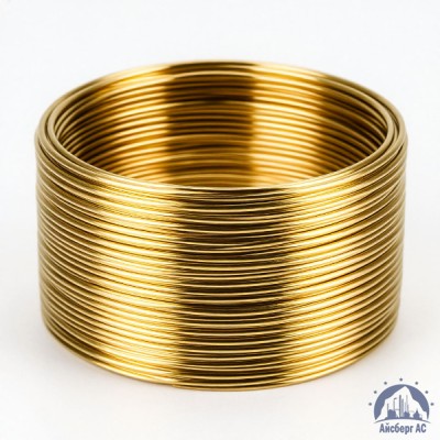 Проволока 1Л ГОСТ 26366-84 купить в Караганде