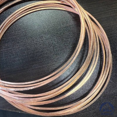 Прокладка медная уплотнительная 12х16-II s=1,5 ГОСТ 19752-84 купить в Караганде