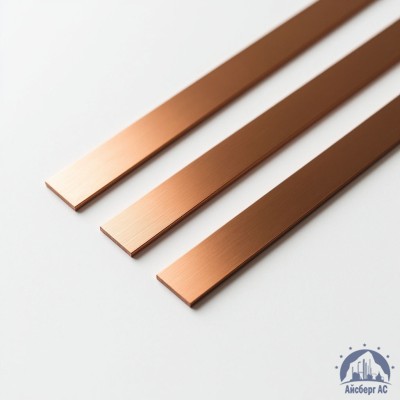 Полоса медная 100х10 мм ШМТ ГОСТ 434-78 купить в Караганде