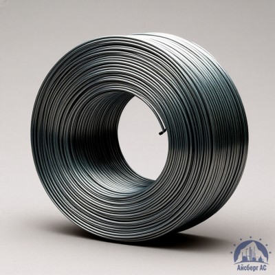 Проволока   1-П-1-35 ГОСТ 5663-79 купить в Караганде