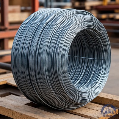 Проволока вольфрамовая 12 мкм ВМ купить в Караганде