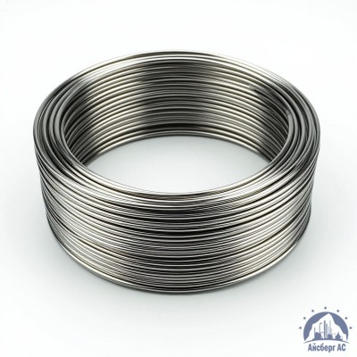 Проволока круглая 0,2-П-2-55 ГОСТ 3875-83 купить в Караганде