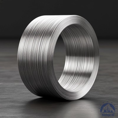 Алюминиевая сварочная проволока 1,8 мм СвАМГ6 купить в Караганде