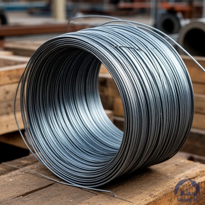 Проволока   1-1-25 ГОСТ 5663-79 купить в Караганде