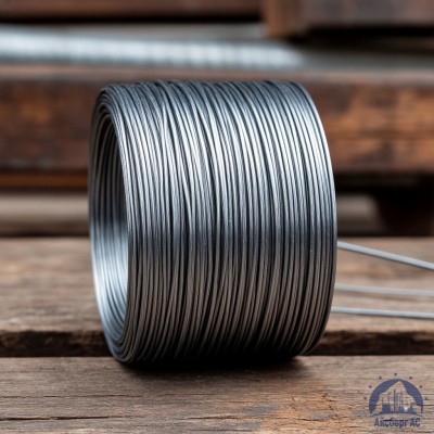 Проволока   1-2-30 ГОСТ 5663-79 купить в Караганде