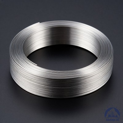 Проволока титановая 0,8 мм ВТ20-2СВ ГОСТ 27265-87 купить в Караганде