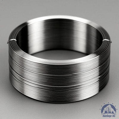 Проволока титановая 2 мм ВТ1-0 купить в Караганде