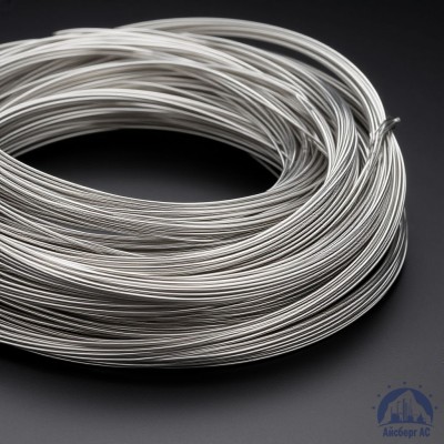 Проволока СрМ 916 купить в Караганде