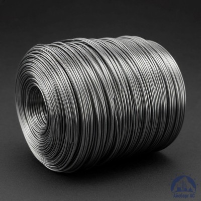 Проволока свинцовая 2 мм С1 купить в Караганде