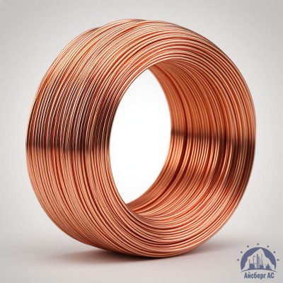 Проволока сварочная ДКРХМ 2,5 БТ МНЖКТ5-1-0,2-0,2 ГОСТ 16130-90 купить в Караганде