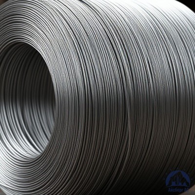 Проволока   1-П-2-45 ГОСТ 5663-79 купить в Караганде