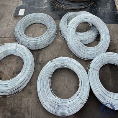 Проволока 0,3-Х15Н60 ГОСТ 8803-89 купить в Караганде