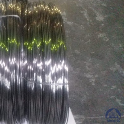 Проволока 0,34-Х15Н60 ГОСТ 8803-89 купить в Караганде