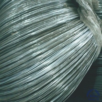 Проволока 0,2-Х20Н80-ВИ ГОСТ 8803-89 купить в Караганде