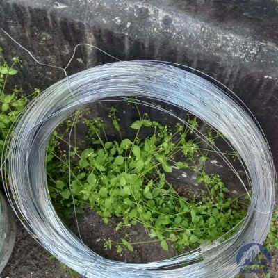 Проволока 0,34-Х20Н80-ВИ ГОСТ 8803-89 купить в Караганде