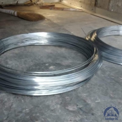 Проволока 0,3-Н80ХЮД-ВИ ГОСТ 8803-89 купить в Караганде