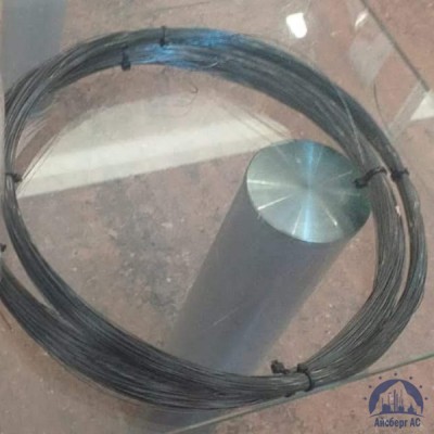 Проволока 0,32-20пс ГОСТ 17305-91 купить в Караганде